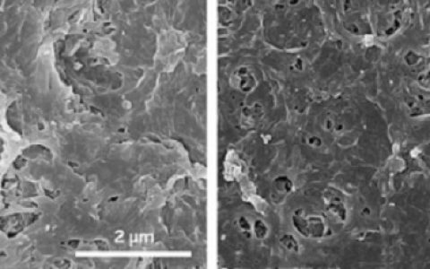 去除激素哪家强？薄膜涂层新主张！
