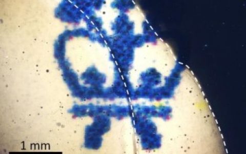 可调节透明度的智能窗？新型光学材料助你实现梦想！