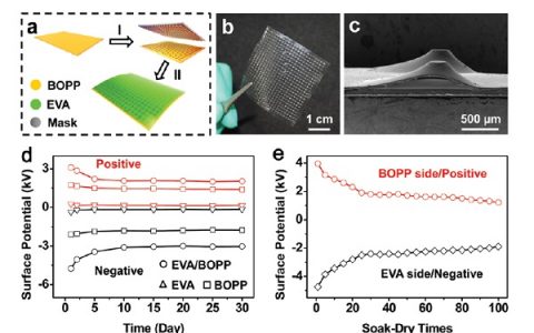 Energ. Environ. Sci.：新型驻极体薄膜—致力“防水”柔性发电机