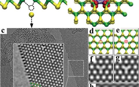 Adv. Energy Mater. 谢毅综述:二维材料电子和声子结构调控