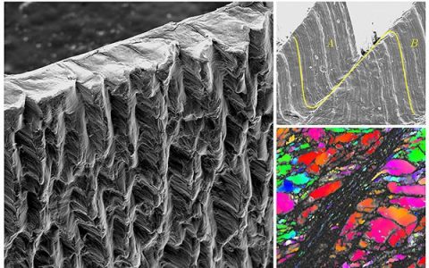 剪切带的形成，不再让人头疼