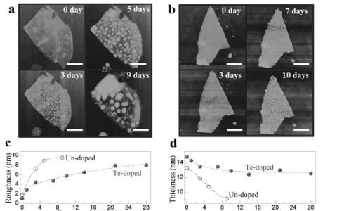 Adv. Mater. 国内多校合作研究碲(Te)掺杂黑磷场效应晶体管