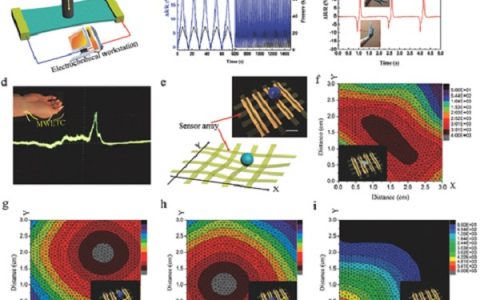 Adv. Mater.:用于人造肌肉和传感器的分层薄膜导体