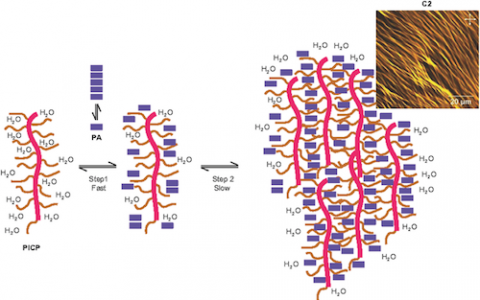 顶刊动态 | AM/Macromolecules等高分子材料前沿最新科研成果精选【第20期】