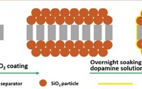 Energy Environ. Sci. 通过聚多巴胺陶瓷和聚烯烃膜复合改性提高锂离子电池热性能的一种隔膜的理论设计