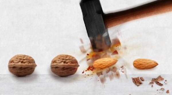 CoE_imaging_Walnut_0-400x221