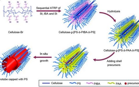林志群Science：一维纳米晶尺寸、组成及结构的精确控制！