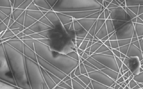 银纳米线和石墨烯强强联手！造就新型触摸屏显示器！