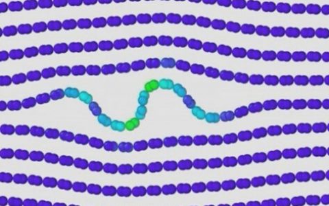 厉害了我的层状材料,原来你是这样变形的!