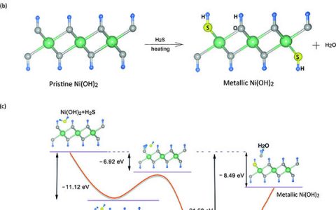 Angew. Chem. Int. Ed. 中科大将镍的氢氧化物用于燃料电池催化尿素氧化