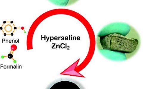 Angew. Chem. Int. Ed. 中科大俞书宏“Hot Paper”-高盐条件下单体聚合制备多孔碳气凝胶
