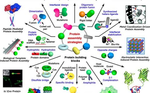 顶刊动态 | Chem. Rev./AM等生物材料前沿最新科研成果精选【第22期】
