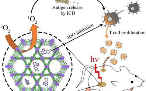林文斌JACS：一种可治疗结直肠癌的新型MOF材料