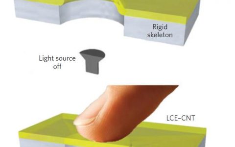 Nat. Mater. 大牛综述:液晶聚合物