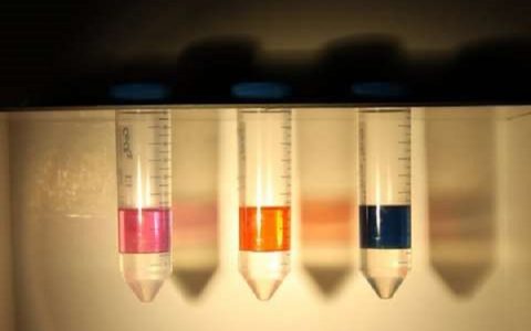 新发现!高效又安全的重金属提取剂!