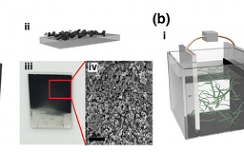 Adv. Energy Mater.:8月材料前沿科研成果十大精选