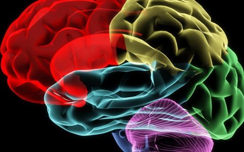 钛白粉纳米粒子 或对大脑有损伤