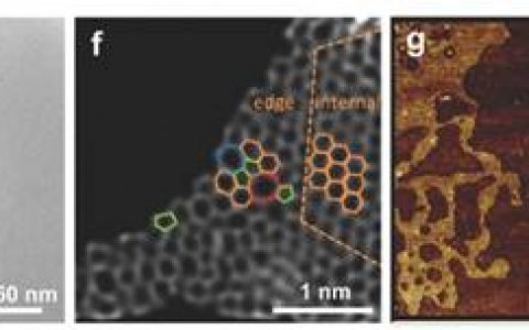 Adv. Mater.:缺陷石墨烯的制备及其作为功能性电化学反应催化剂的性能