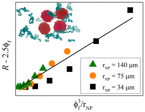 Macromolecules：填料尺寸影响复合材料增强作用和机理的探究