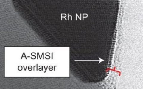 智能催化剂的诞生