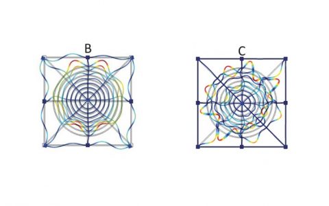 好炫酷！由蜘蛛网结构启发的声波超材料