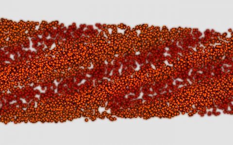 科学家发现影响牙齿生长的纳米级元素