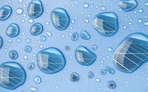 水分子有奇用!助力形成捕光纤维