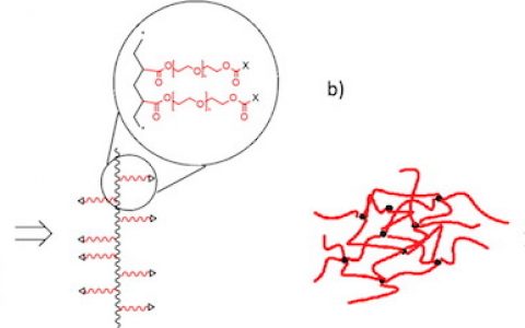 Macromolecules 聚合物网络结构:拓扑连接点类型对交联密度和宏观凝胶性能的影响