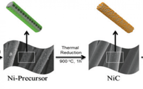 Energy Environ. Sci. 用作析氧反应和水裂解的单片无金属电催化剂