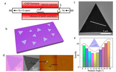 ACS Nano:中科院半导体所-异质结一步生长及缺陷诱导生成理论