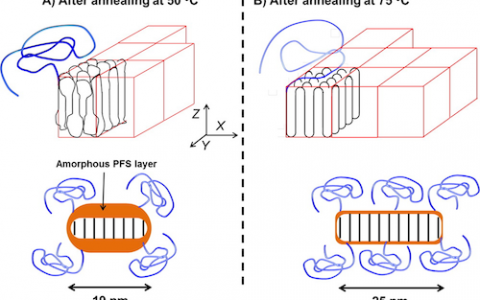 Macromolecules 结晶-线团型嵌段共聚物的溶液自组装行为—结晶相为核的一维胶束退火后沿外侧生长