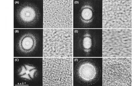 学术干货 | 从原理到实践 如何拍出高质量TEM照片