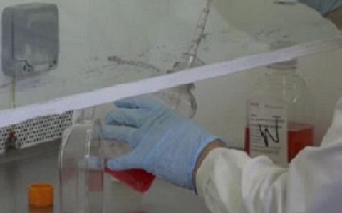 简单聚合物让骨骼再生疗法重获新生