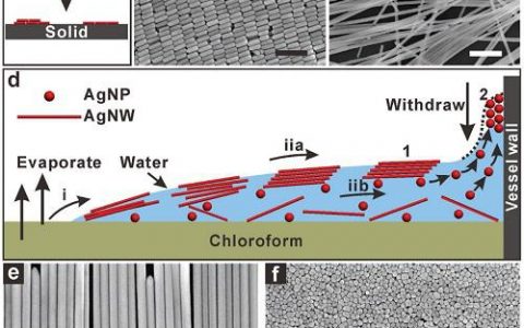 Adv. Mater. 中国科院化学所-动态控制银纳米阵列检测底物诱导细胞伸长增长