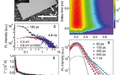 Science:在杂化钙钛矿中结晶液体保护高能载流子