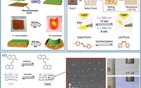 Adv. Mater. 中科院苏州纳米所-光致动器实现从纳米部件组装到宏观形变
