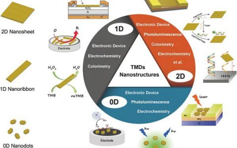 顶刊动态丨Nature子刊/PNAS/AFM等电子材料前沿最新科研成果精选【第24期】