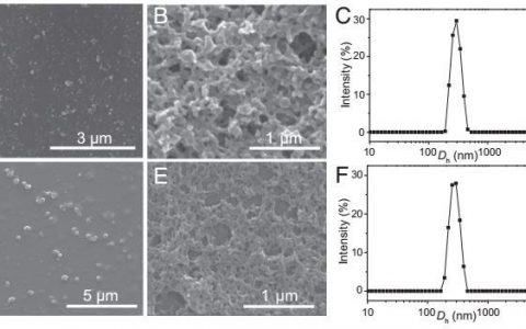 PNAS:中科大&犹他大学 通过共价键连接结荧光金属环状高聚物并用来作为细胞成像的参照