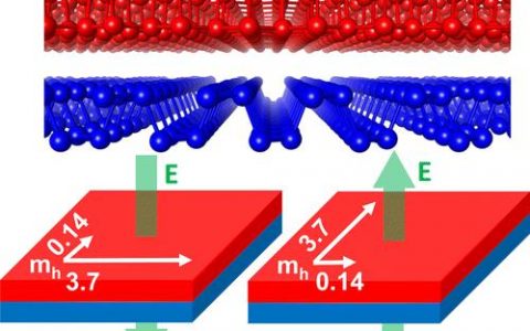 顶刊动态丨AM/Nano Lett.等期刊电子材料前沿最新科研成果精选【第23期】