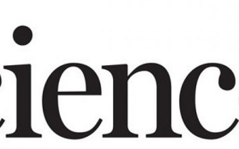 顶刊动态 | Science：8月材料前沿科研成果精选