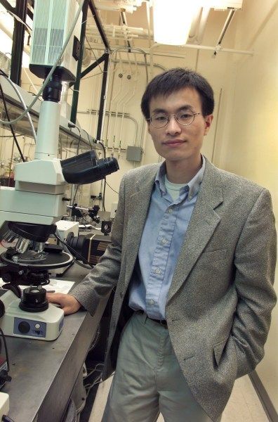 杨培东