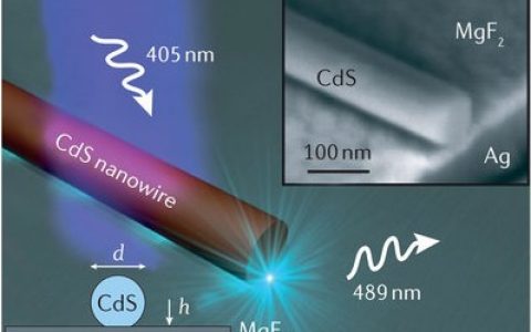 Nat. Rev. Mater. 杨培东综述:半导体纳米线激光器