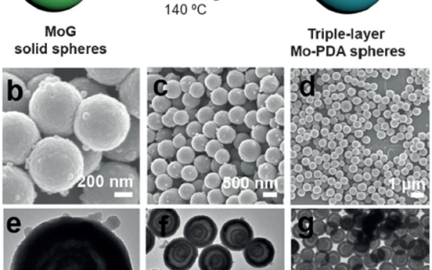 楼雄文Angew. Chem. Int. Ed.：水热法辅助制备三壳MoO2/C中空球
