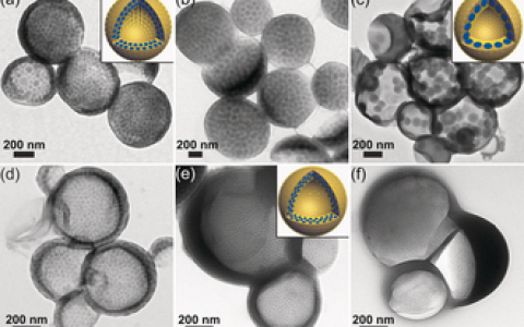 Angew. Chem. Int. Ed. 华中科技大学研发具有结构依赖释放行为的嵌段共聚物胶囊