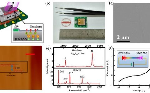 Adv. Mater.合肥工业大学：石墨烯-β-氧化镓肖特基结用于高性能深紫外探测器