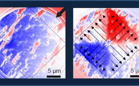 可制造磁单极子的材料新组合