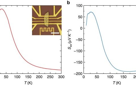北大Nature子刊：探测隐藏于手性异常Cd3As2中的热电信号