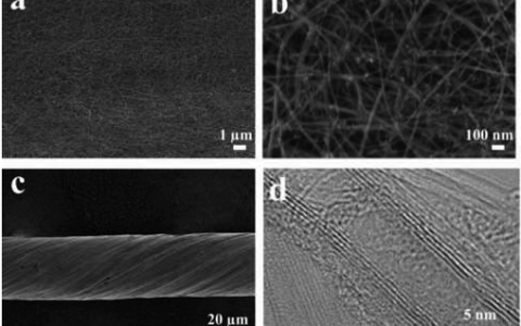 Adv. Energy Mater.：高性能芯鞘结构可伸缩型线状电容器