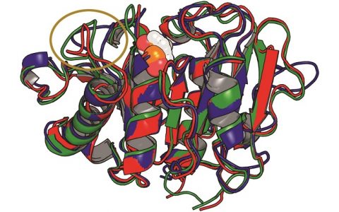 塑料合成也将迈进绿色世界