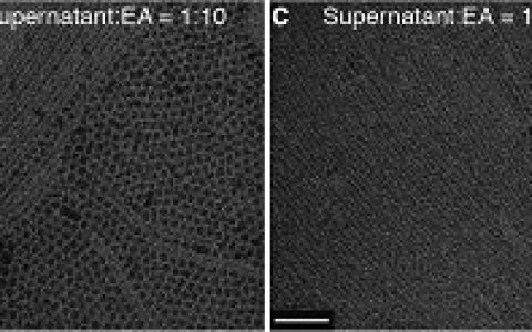 杨培东JACS: 超细胶体铯铅卤化物钙钛矿纳米线